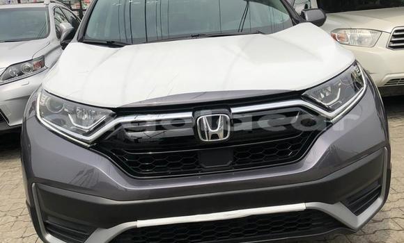 Buy Used Honda CR–V Silver Car in Luanda in Luanda Province Buy Used Honda CR–V Silver Car in Luanda in Luanda Province