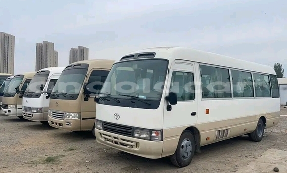 Buy Used Toyota Coaster White Car in Luanda in Luanda Province Buy Used Toyota Coaster White Car in Luanda in Luanda Province