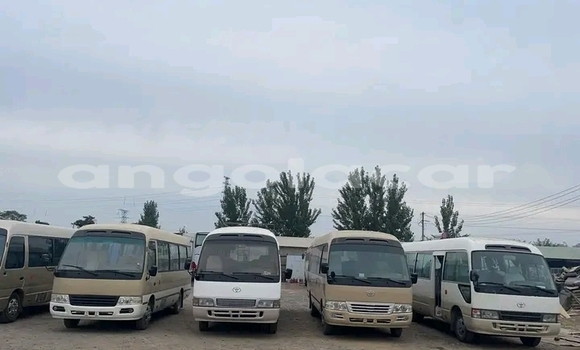 Buy Used Toyota Coaster White Car in Luanda in Luanda Province Buy Used Toyota Coaster White Car in Luanda in Luanda Province