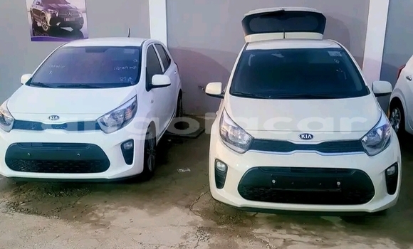 Comprar Usado Kia Picanto Branco Carro em Luanda em Luanda Province