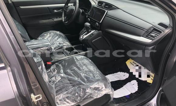 Buy New Honda CR–V Silver Car in Luanda in Luanda Province Buy New Honda CR–V Silver Car in Luanda in Luanda Province