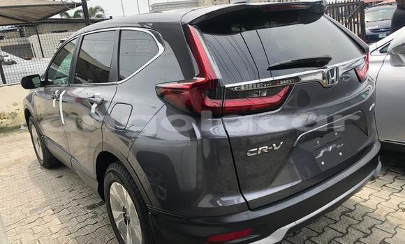 Buy New Honda CR–V Silver Car in Luanda in Luanda Province Buy New Honda CR–V Silver Car in Luanda in Luanda Province