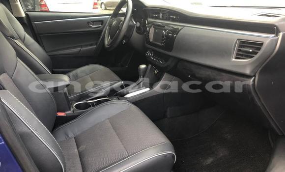 Acheter Occasion Voiture Toyota Corolla Bleu à Luanda, Province de Luanda Acheter Occasion Voiture Toyota Corolla Bleu à Luanda, Province de Luanda