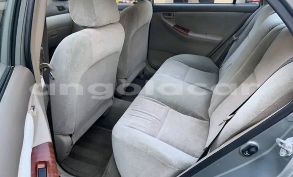 Comprar Usado Toyota Corolla Outro Carro em Luanda em Luanda Province Comprar Usado Toyota Corolla Outro Carro em Luanda em Luanda Province