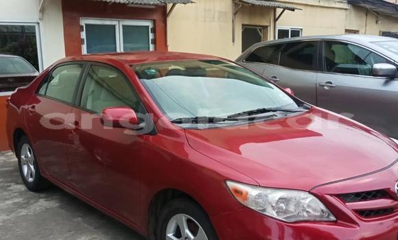 Comprar Usado Toyota Corolla Vermelho Carro em Luanda em Luanda Province