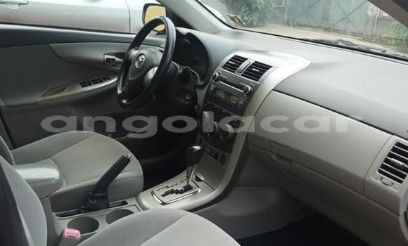 Buy Used Toyota Corolla Red Car in Luanda in Luanda Province Buy Used Toyota Corolla Red Car in Luanda in Luanda Province