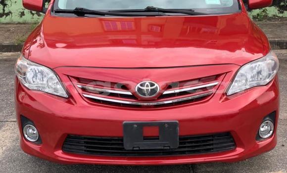 Comprar Usado Toyota Corolla Vermelho Carro em Luanda em Luanda Province