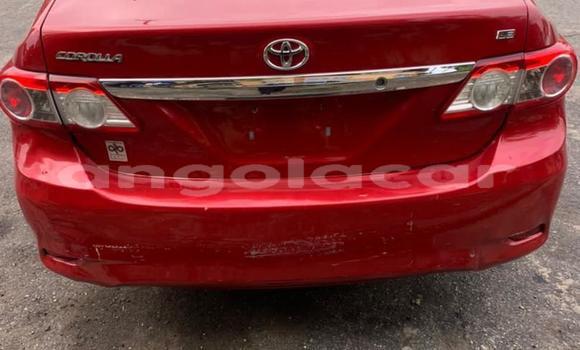 Acheter Occasion Voiture Toyota Corolla Rouge à Luanda, Province de Luanda Acheter Occasion Voiture Toyota Corolla Rouge à Luanda, Province de Luanda