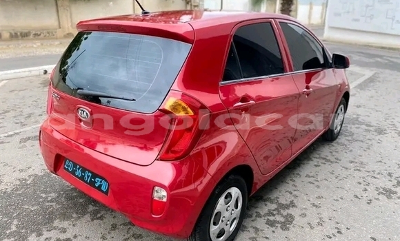 Buy Used Kia Picanto Red Car in Luanda in Luanda Province Buy Used Kia Picanto Red Car in Luanda in Luanda Province