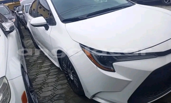 Buy Used Toyota Corolla White Car in Luanda in Luanda Province