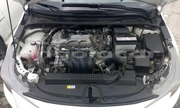 Comprar Usado Toyota Corolla Branco Carro em Luanda em Luanda Province Comprar Usado Toyota Corolla Branco Carro em Luanda em Luanda Province