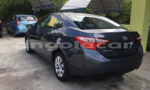 Buy Used Toyota Corolla Other Car in Luanda in Luanda Province Buy Used Toyota Corolla Other Car in Luanda in Luanda Province