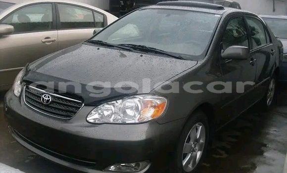 Comprar Usado Toyota Corolla Preto Carro em Luanda em Luanda Province Comprar Usado Toyota Corolla Preto Carro em Luanda em Luanda Province
