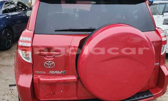 Buy Used Toyota RAV4 Red Car in Luanda in Luanda Province Buy Used Toyota RAV4 Red Car in Luanda in Luanda Province