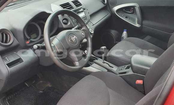 Buy Used Toyota RAV4 Red Car in Luanda in Luanda Province Buy Used Toyota RAV4 Red Car in Luanda in Luanda Province