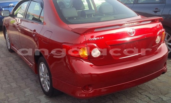 Buy Used Toyota Corolla Red Car in Luanda in Luanda Province Buy Used Toyota Corolla Red Car in Luanda in Luanda Province