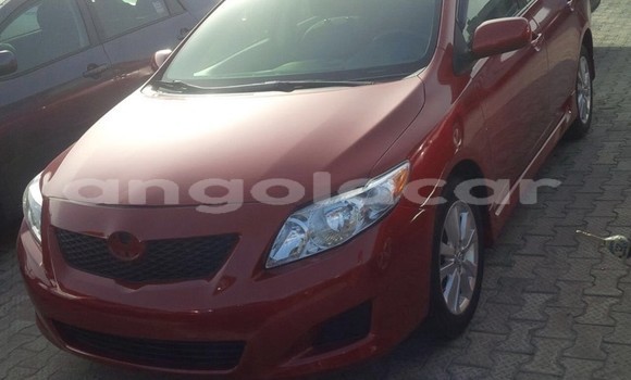 Comprar Usado Toyota Corolla Vermelho Carro em Luanda em Luanda Province Comprar Usado Toyota Corolla Vermelho Carro em Luanda em Luanda Province