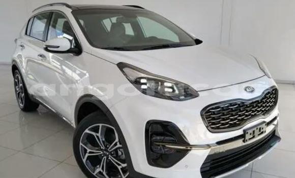 Buy Used Kia Sportage White Car in Luanda in Luanda Province