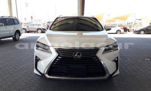 Buy Used Lexus RX 350 White Car in Luanda in Luanda Province