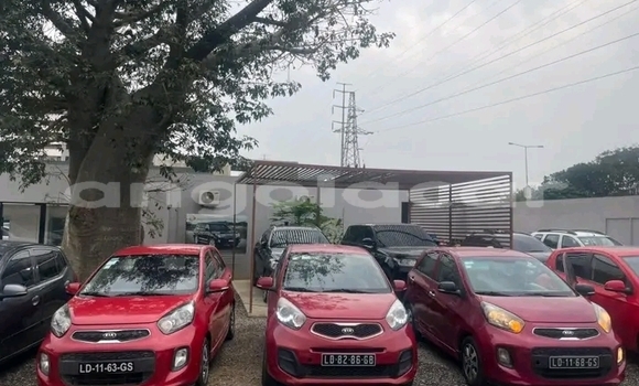 Buy Used Kia Picanto Red Car in Luanda in Luanda Province Buy Used Kia Picanto Red Car in Luanda in Luanda Province