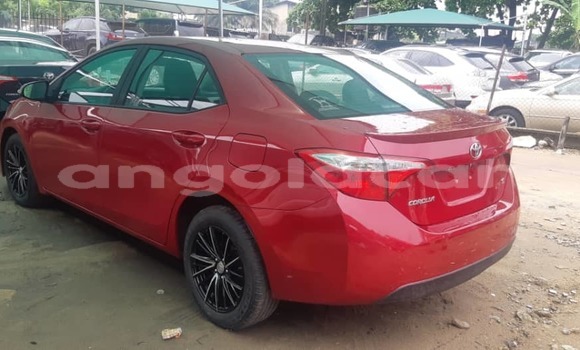 Buy Used Toyota Corolla Red Car in Luanda in Luanda Province Buy Used Toyota Corolla Red Car in Luanda in Luanda Province