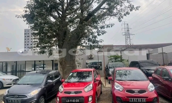 Buy Used Kia Picanto Red Car in Luanda in Luanda Province Buy Used Kia Picanto Red Car in Luanda in Luanda Province