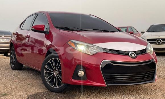 Buy Used Toyota Corolla Red Car in Luanda in Luanda Province Buy Used Toyota Corolla Red Car in Luanda in Luanda Province