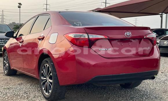 Buy Used Toyota Corolla Red Car in Luanda in Luanda Province Buy Used Toyota Corolla Red Car in Luanda in Luanda Province