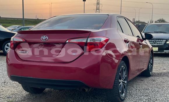 Buy Used Toyota Corolla Red Car in Luanda in Luanda Province Buy Used Toyota Corolla Red Car in Luanda in Luanda Province