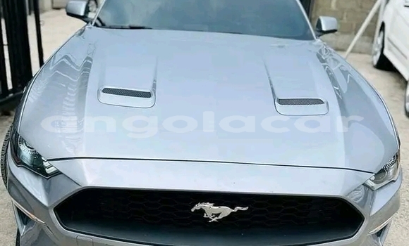Acheter Occasion Voiture Ford Mustang Autre à Luanda, Province de Luanda Acheter Occasion Voiture Ford Mustang Autre à Luanda, Province de Luanda