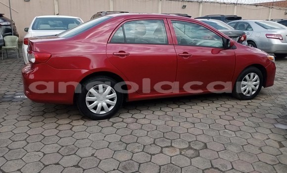 Buy Used Toyota Corolla Red Car in Luanda in Luanda Province Buy Used Toyota Corolla Red Car in Luanda in Luanda Province