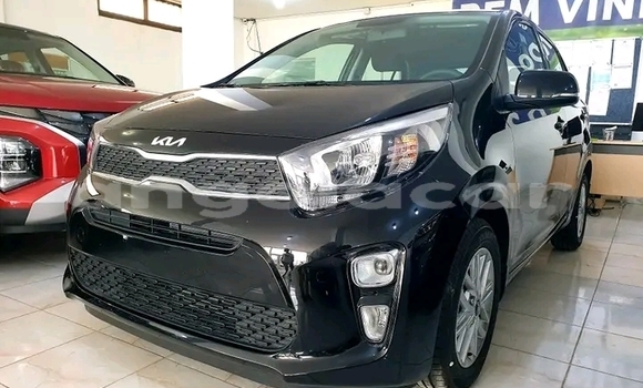 Buy Used Kia Picanto Black Car in Luanda in Luanda Province Buy Used Kia Picanto Black Car in Luanda in Luanda Province
