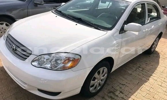 Acheter Occasion Voiture Toyota Corolla Blanc à Luanda, Province de Luanda Acheter Occasion Voiture Toyota Corolla Blanc à Luanda, Province de Luanda