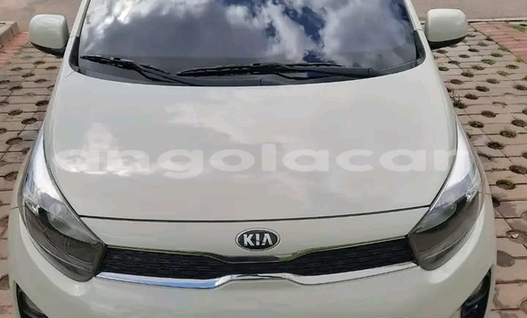 Buy Used Kia Picanto Other Car in Luanda in Luanda Province Buy Used Kia Picanto Other Car in Luanda in Luanda Province