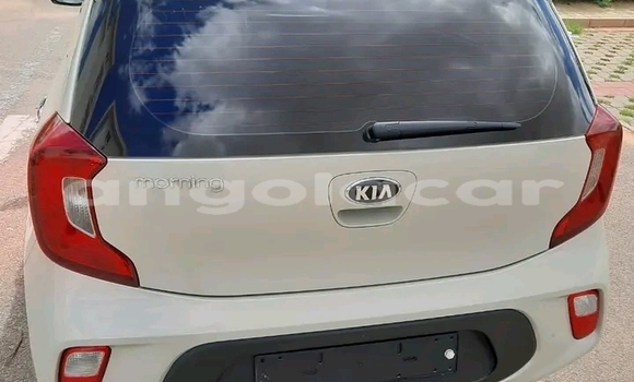 Buy Used Kia Picanto Other Car in Luanda in Luanda Province Buy Used Kia Picanto Other Car in Luanda in Luanda Province