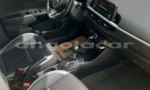 Buy Used Kia Picanto Other Car in Luanda in Luanda Province Buy Used Kia Picanto Other Car in Luanda in Luanda Province