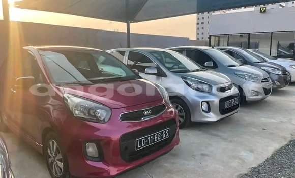 Buy Used Kia Picanto Red Car in Luanda in Luanda Province Buy Used Kia Picanto Red Car in Luanda in Luanda Province
