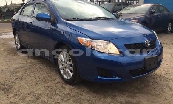 Buy Used Toyota Corolla Blue Car in Luanda in Luanda Province Buy Used Toyota Corolla Blue Car in Luanda in Luanda Province