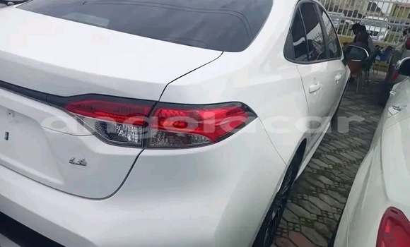 Comprar Usado Toyota Corolla Branco Carro em Luena em Moxico Comprar Usado Toyota Corolla Branco Carro em Luena em Moxico