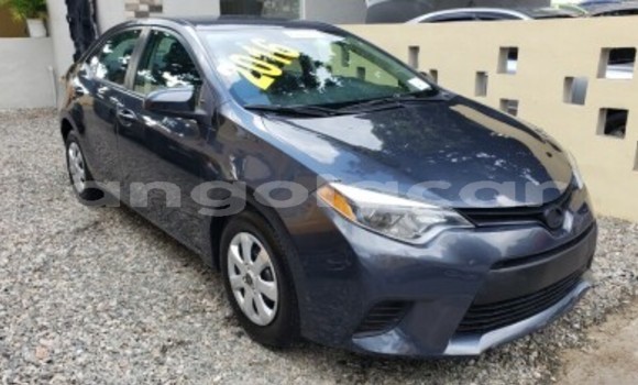 Buy Used Toyota Corolla Other Car in Luanda in Luanda Province Buy Used Toyota Corolla Other Car in Luanda in Luanda Province