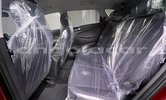 Buy Used Hyundai Tucson Red Car in Luanda in Luanda Province Buy Used Hyundai Tucson Red Car in Luanda in Luanda Province