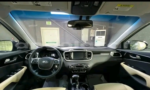 Buy Used Kia Sorento Blue Car in Luanda in Luanda Province Buy Used Kia Sorento Blue Car in Luanda in Luanda Province
