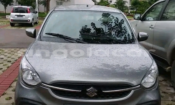 Buy Used Suzuki Celerio Other Car in Luanda in Luanda Province Buy Used Suzuki Celerio Other Car in Luanda in Luanda Province