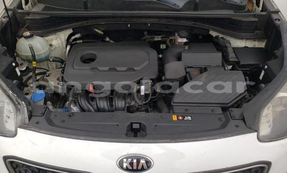 Buy Used Kia Sportage White Car in Luanda in Luanda Province Buy Used Kia Sportage White Car in Luanda in Luanda Province