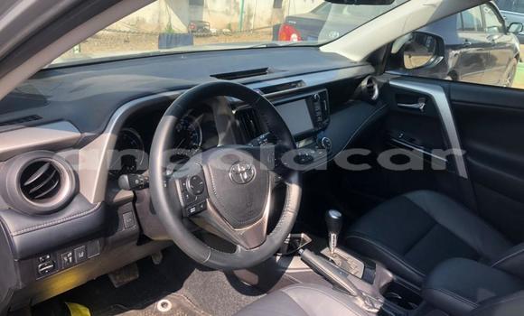 Buy Used Toyota RAV4 Other Car in Luanda in Luanda Province Buy Used Toyota RAV4 Other Car in Luanda in Luanda Province