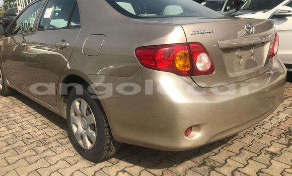 Acheter Occasion Voiture Toyota Corolla Marron à Luanda, Province de Luanda Acheter Occasion Voiture Toyota Corolla Marron à Luanda, Province de Luanda