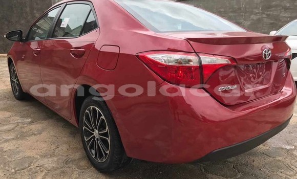 Buy Used Toyota Corolla Red Car in Luanda in Luanda Province Buy Used Toyota Corolla Red Car in Luanda in Luanda Province