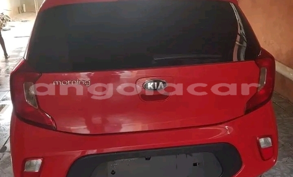 Buy Used Kia Picanto Red Car in Luanda in Luanda Province Buy Used Kia Picanto Red Car in Luanda in Luanda Province