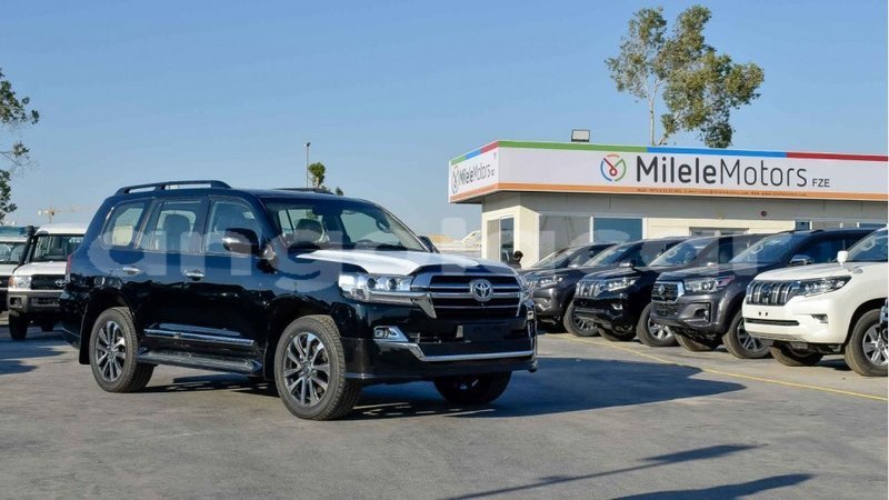 Big with watermark 1