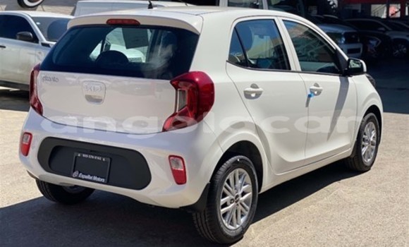 Comprar Usado Kia Picanto Branco Carro em Luanda em Luanda Province Comprar Usado Kia Picanto Branco Carro em Luanda em Luanda Province